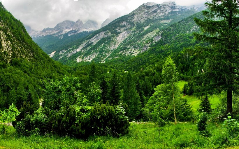 Самая чистая страна