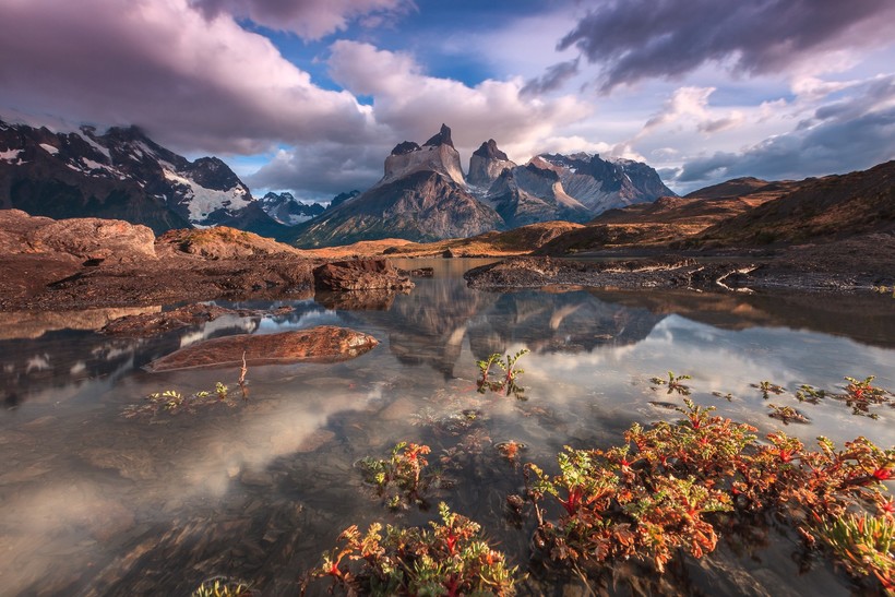 Конкурс Sony World Photography Awards 2016: фото, которые потрясли мир в прошлом году
