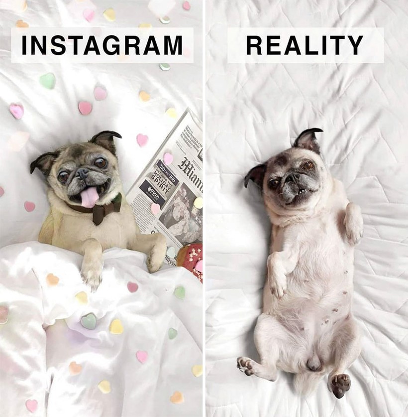Instagram и реальность: немка шутит над идеальными фотографиями в соцсетях