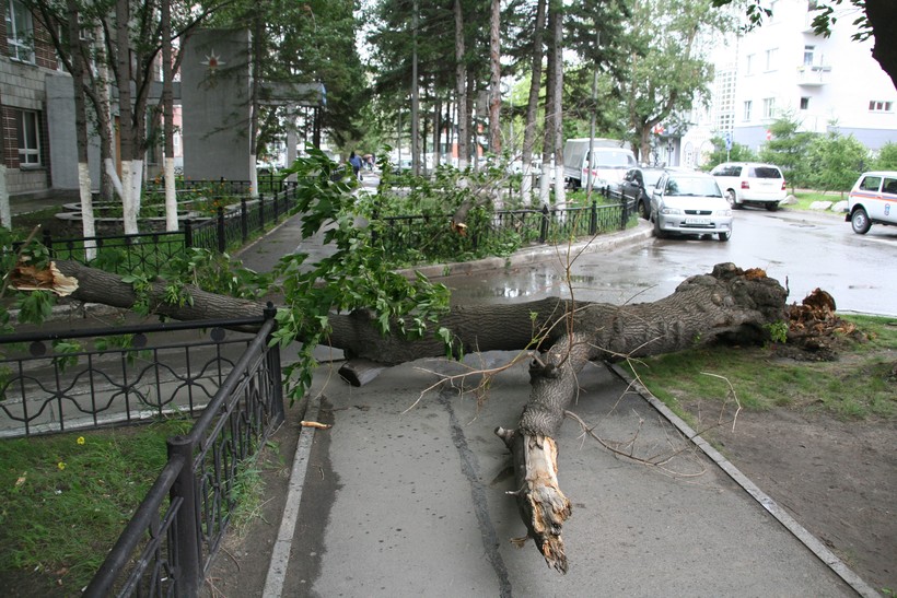 Последствия урагана в Новосибирске
