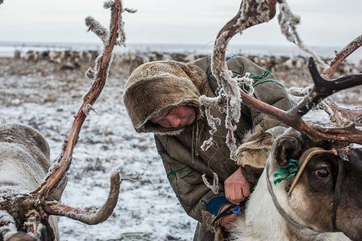 Мир льда и огня: фотограф отправилась на север России, чтобы увидеть жизнь ненцев