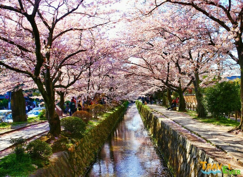 5 самых красивых улиц, по которым хочется гулять бесконечно