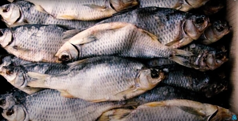 Блог - Видео: Какие советские продукты никогда не ели немецкие солдаты Видео: Какие советские продукты никогда не ели немецкие солдаты
