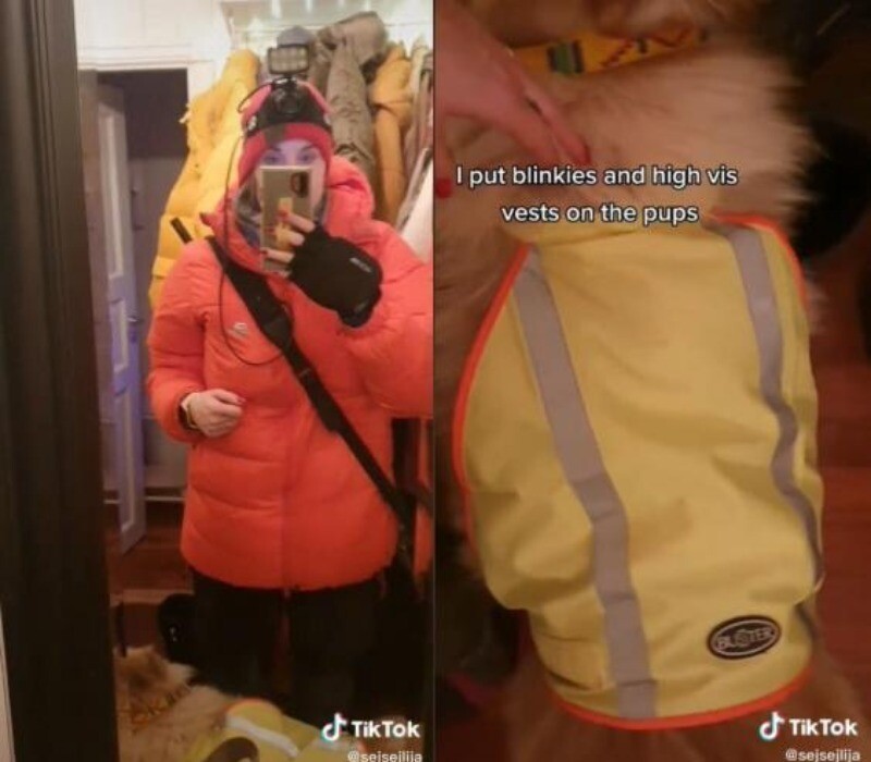 Для выхода на улицу специальное обмундирование нужно не только людям, но и животным Для выхода на улицу специальное обмундирование нужно не только людям, но и животным