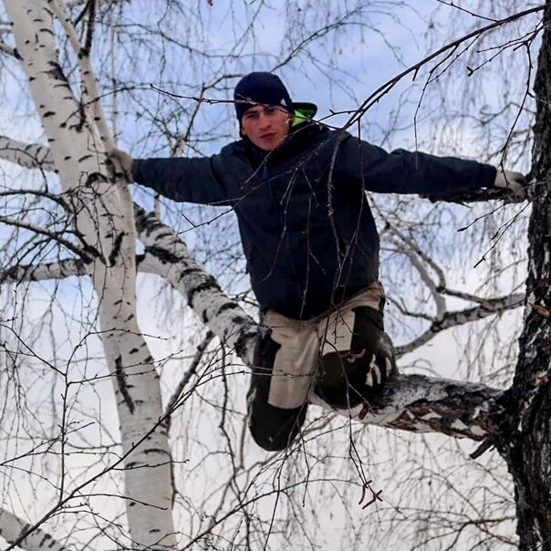 Соцсети явно вдохновились этим примером Соцсети явно вдохновились этим примером
