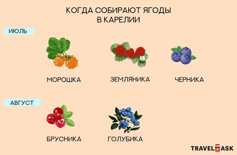 Блог - Инфографика: Три интересных факта о Карелии Инфографика: Три интересных факта о Карелии