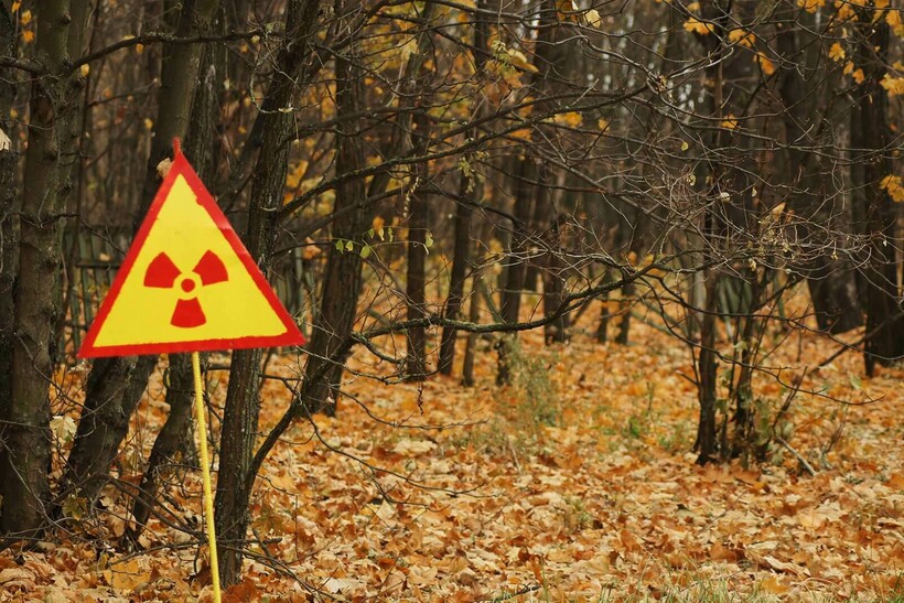 Блог - 4 бывших достопримечательности Чернобыля: как выглядят зоны отдыха и гостиницы 4 бывших достопримечательности Чернобыля: как выглядят зоны отдыха и гостиницы
