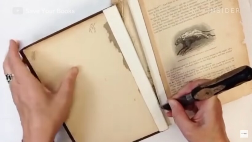 Блог - Видео: Как профессионально восстанавливают 100-летние книги Видео: Как профессионально восстанавливают 100-летние книги