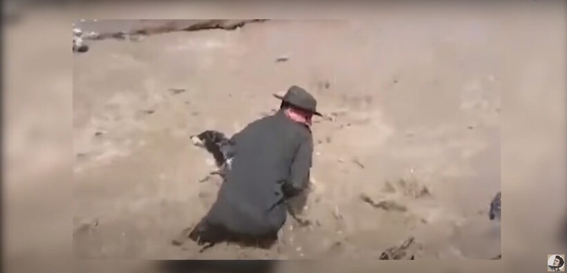 Блог - Видео: Как люди спасают животных, рискуя своей жизнью Видео: Как люди спасают животных, рискуя своей жизнью
