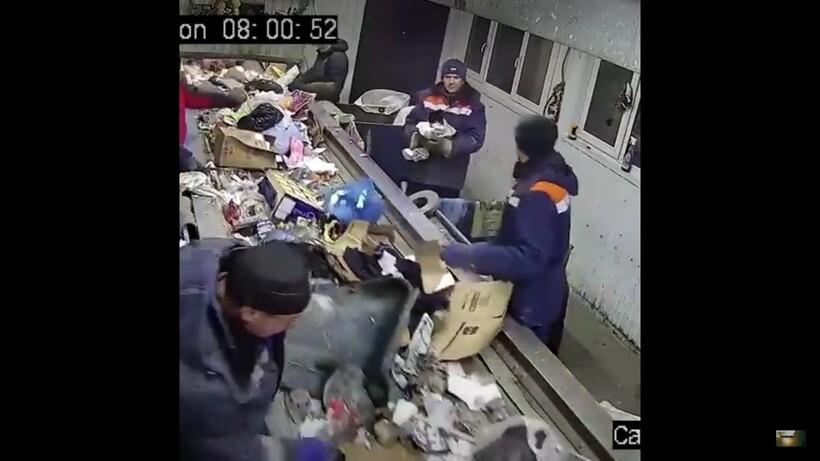 Блог - Видео: Как ульяновского кота нашли в мусоре, а после сделали его заместителем министра Видео: Как ульяновского кота нашли в мусоре, а после сделали его заместителем министра