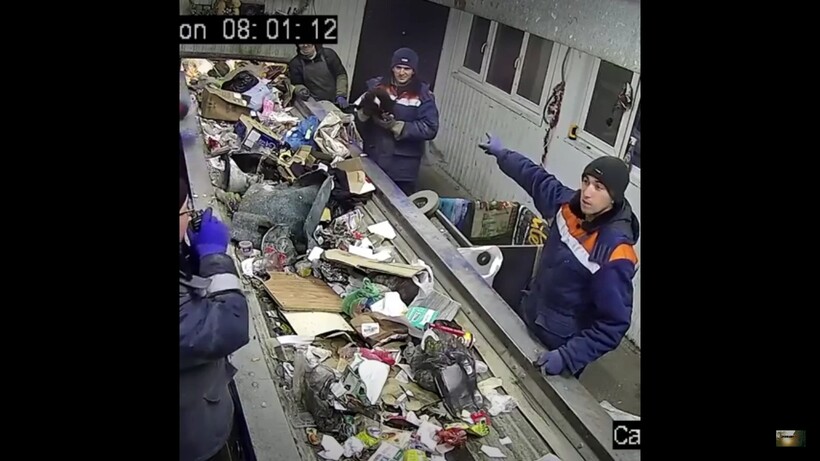 Блог - Видео: Как ульяновского кота нашли в мусоре, а после сделали его заместителем министра Видео: Как ульяновского кота нашли в мусоре, а после сделали его заместителем министра