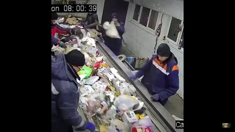 Блог - Видео: Как ульяновского кота нашли в мусоре, а после сделали его заместителем министра Видео: Как ульяновского кота нашли в мусоре, а после сделали его заместителем министра