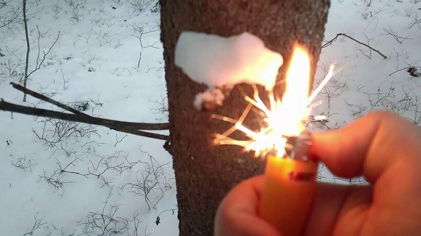 Снег на подлинность проверяют уже не впервые Снег на подлинность проверяют уже не впервые