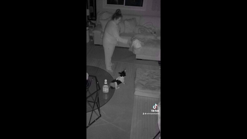 Блог - Женщина-лунатик снимает свои ночные похождения на видео и выкладывает их в TikTok Женщина-лунатик снимает свои ночные похождения на видео и выкладывает их в TikTok