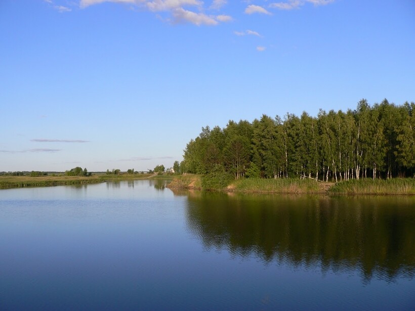 Чистые воды Мокши