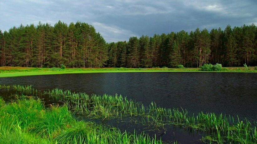 Мордовский заповедник
