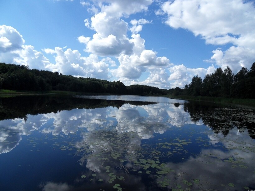 Озеро в Брестской области