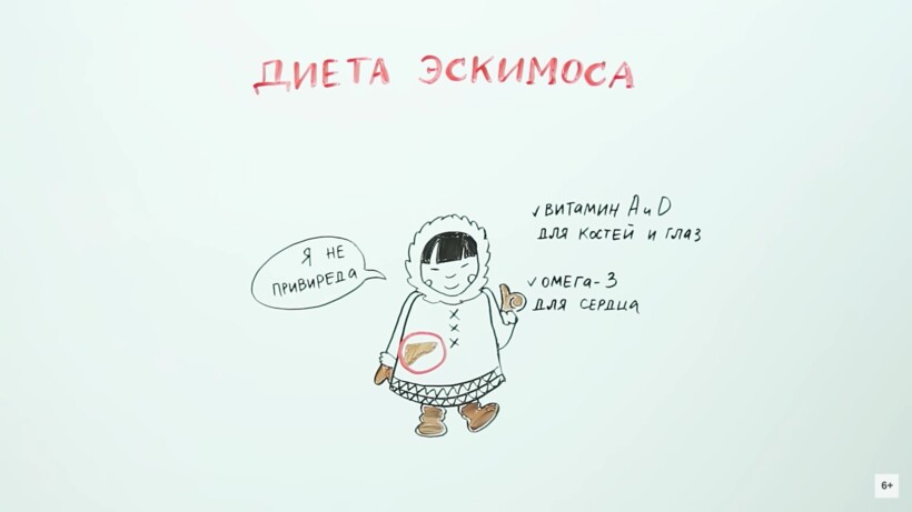 Блог - Видео: Что будет, если есть только мясо Видео: Что будет, если есть только мясо