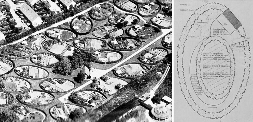 Еще совсем молодой район в 1952 году Еще совсем молодой район в 1952 году
