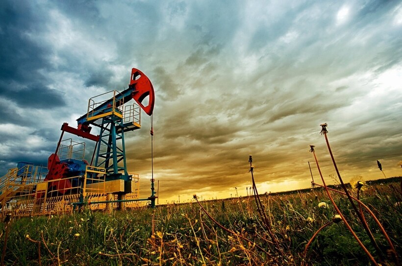 Настоящим источником нефти являются растения Настоящим источником нефти являются растения