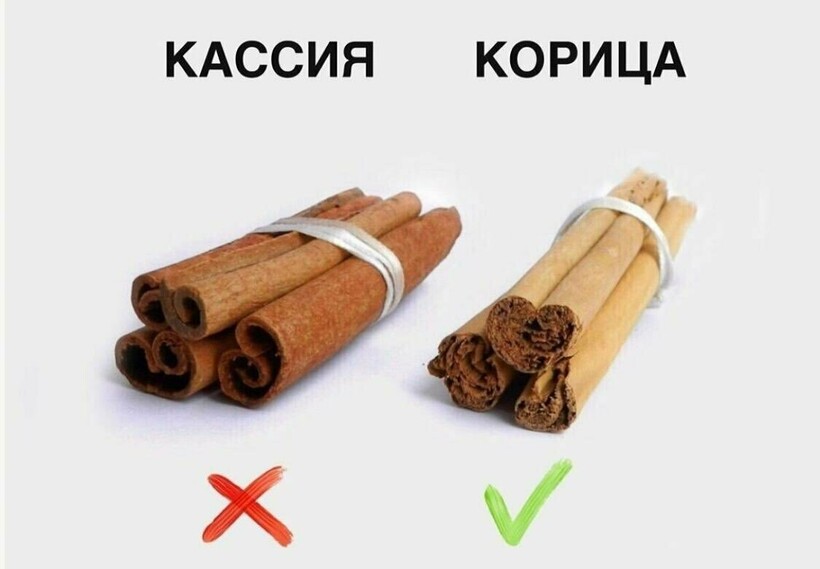 Блог - Видео: Почему корица из Цейлона самая дорогая Видео: Почему корица из Цейлона самая дорогая