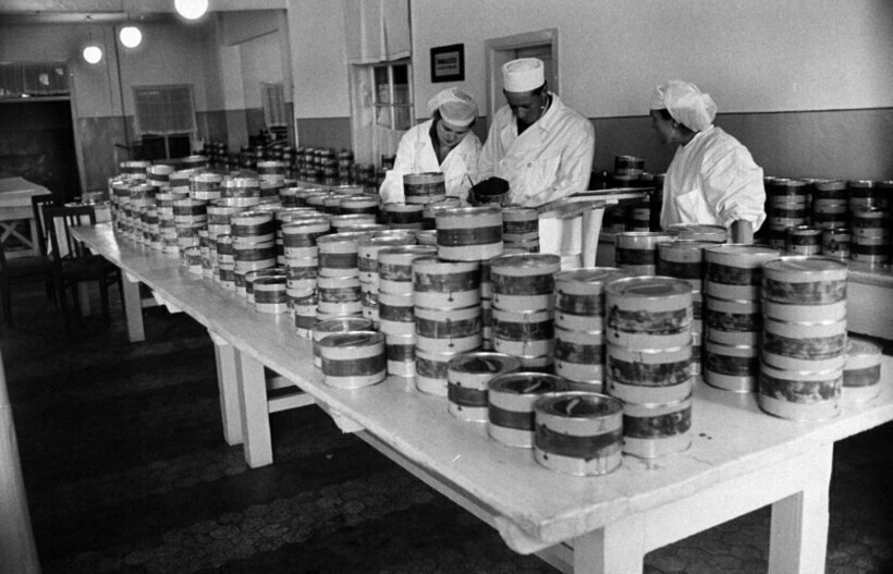 Блог - 13 снимков фотографа из США, который приехал в СССР, чтобы снять добычу черной икры 13 снимков фотографа из США, который приехал в СССР, чтобы снять добычу черной икры