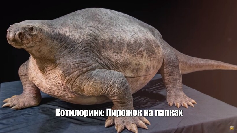 Блог - Видео: Какого ящера прозвали «пирожок на лапках» — необычные открытия археологов Видео: Какого ящера прозвали «пирожок на лапках» — необычные открытия археологов