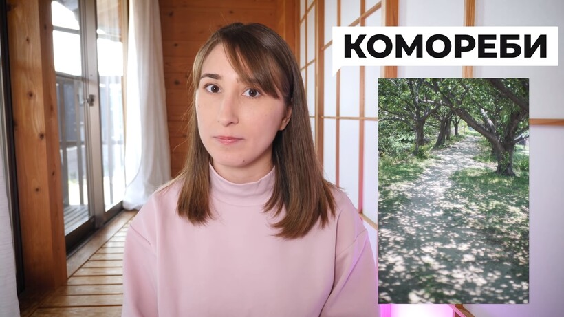 Блог - Видео: Какие необычные 12 слов есть только в японском языке, но пригодились бы русским Видео: Какие необычные 12 слов есть только в японском языке, но пригодились бы русским