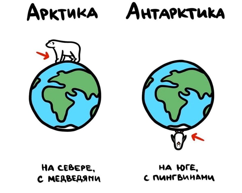 Блог - 19 рисунков, наглядно показывающих разницу между понятиями, которые все вечно путают 19 рисунков, наглядно показывающих разницу между понятиями, которые все вечно путают