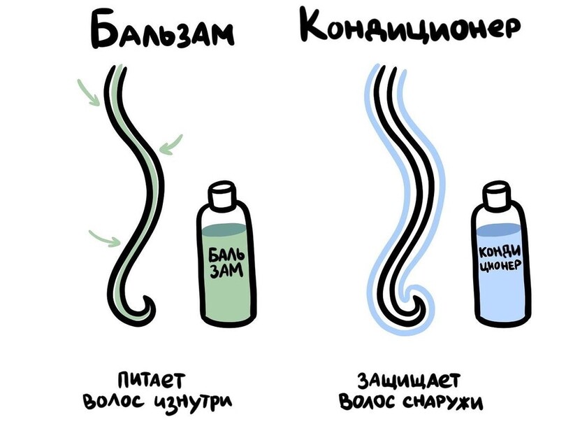 Блог - 19 рисунков, наглядно показывающих разницу между понятиями, которые все вечно путают 19 рисунков, наглядно показывающих разницу между понятиями, которые все вечно путают