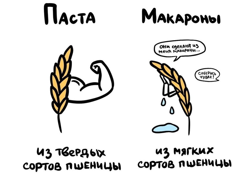 Блог - 19 рисунков, наглядно показывающих разницу между понятиями, которые все вечно путают 19 рисунков, наглядно показывающих разницу между понятиями, которые все вечно путают