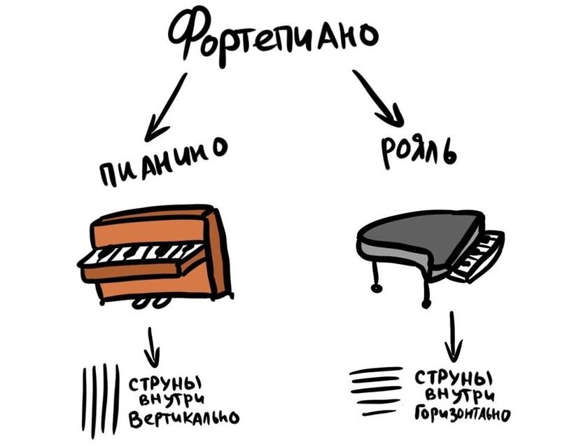 Блог - 19 рисунков, наглядно показывающих разницу между понятиями, которые все вечно путают 19 рисунков, наглядно показывающих разницу между понятиями, которые все вечно путают