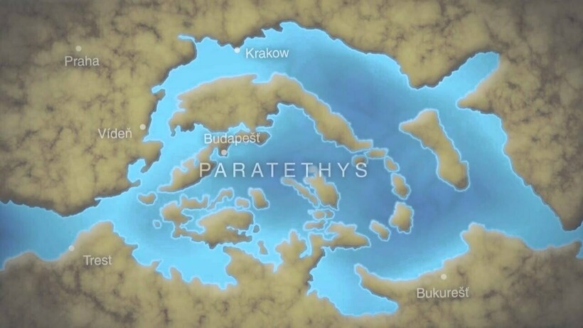 Море Паратетис имело немалую протяженность Море Паратетис имело немалую протяженность