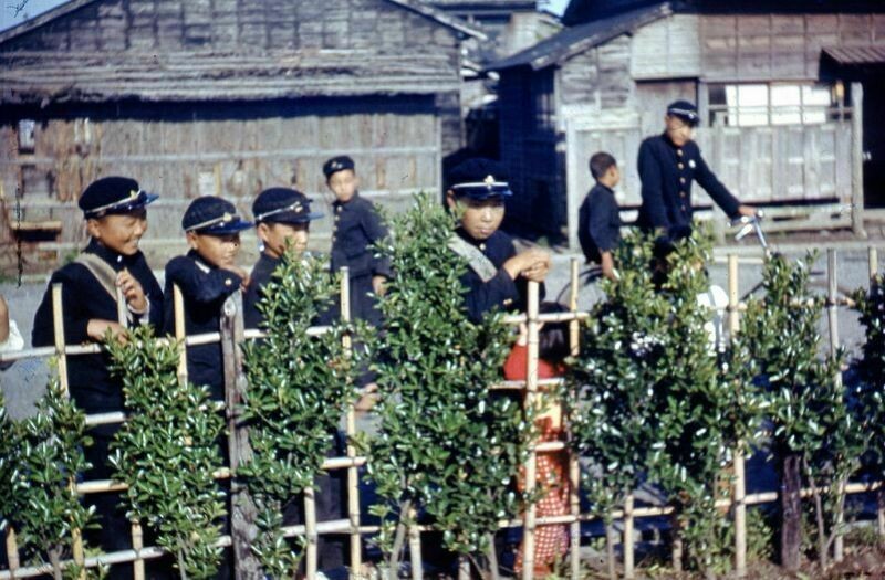 Блог - Цветные ретрофотографии 1950-х, показывающие повседневную жизнь в послевоенной Японии Цветные ретрофотографии 1950-х, показывающие повседневную жизнь в послевоенной Японии