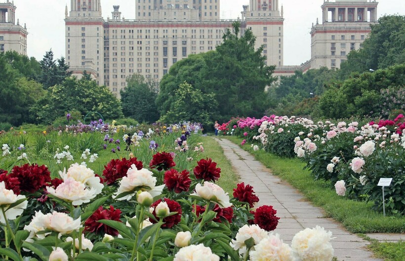 Блог - Где сделать красивые фото в Москве, Петербурге и Казани Где сделать красивые фото в Москве, Петербурге и Казани
