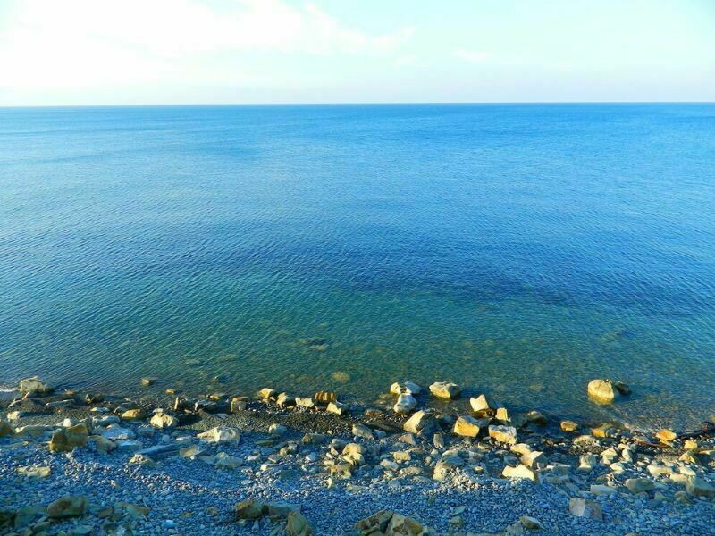 Блог - Как съездить на море и не попасть на момент цветения воды Как съездить на море и не попасть на момент цветения воды