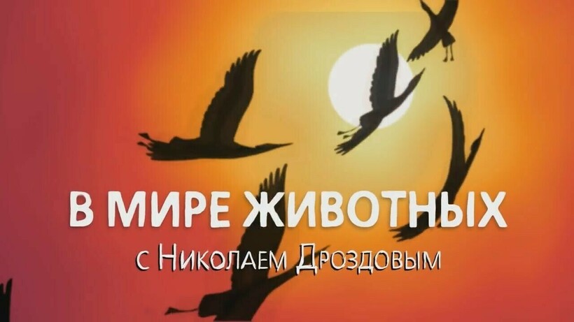 Блог - Минута ностальгии: 30 вещей детей 90-х, которые делали их детство счастливым Минута ностальгии: 30 вещей детей 90-х, которые делали их детство счастливым