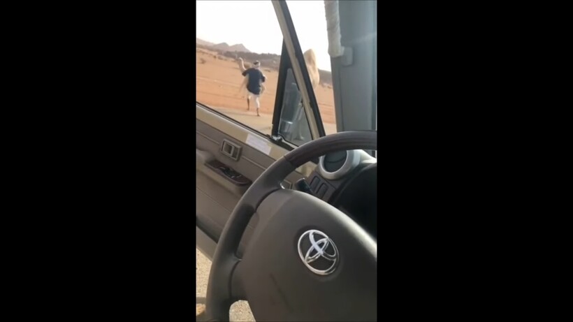 Блог - Видео: Самый быстрый и смешной способ убрать верблюда с дороги Видео: Самый быстрый и смешной способ убрать верблюда с дороги