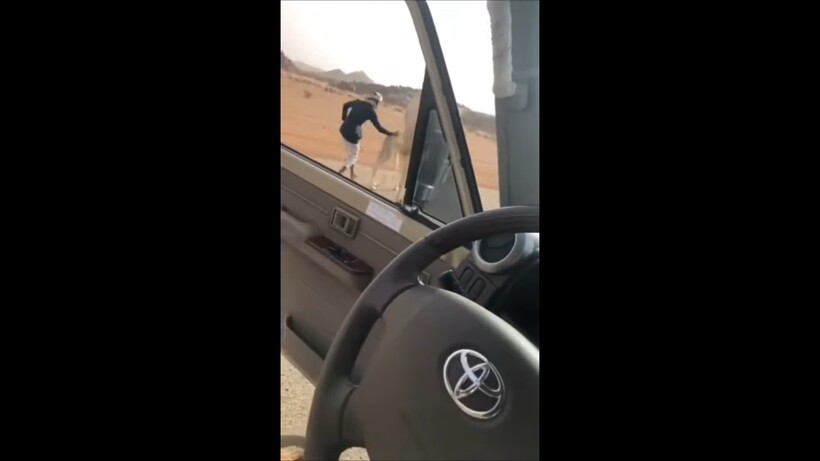 Блог - Видео: Самый быстрый и смешной способ убрать верблюда с дороги Видео: Самый быстрый и смешной способ убрать верблюда с дороги