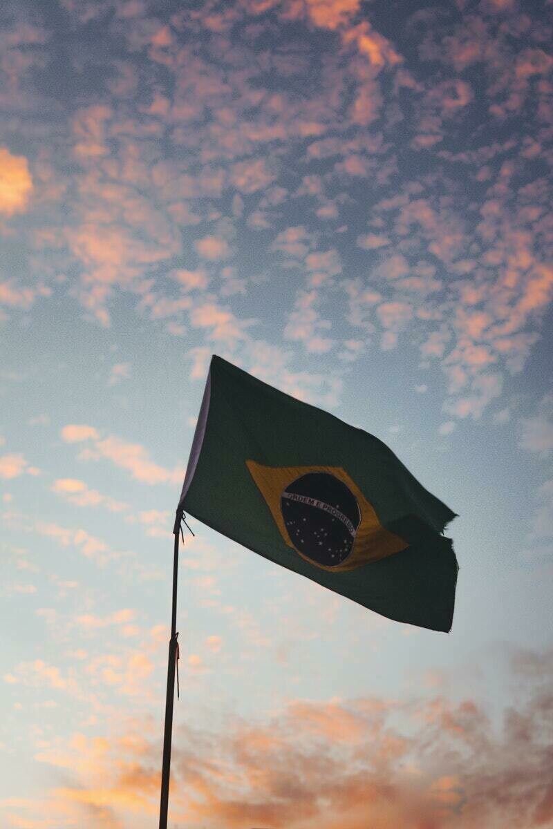Фото: Vinícius Vieira/pexels.com Фото: Vinícius Vieira/pexels.com
