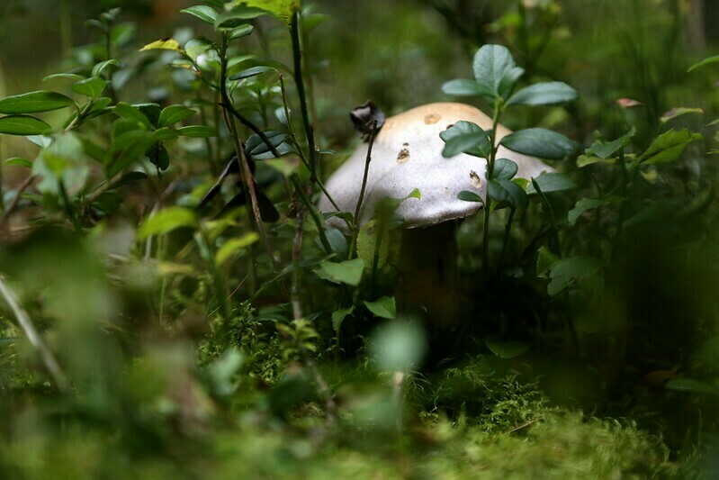 Фото: enki22/flickr.com Фото: enki22/flickr.com