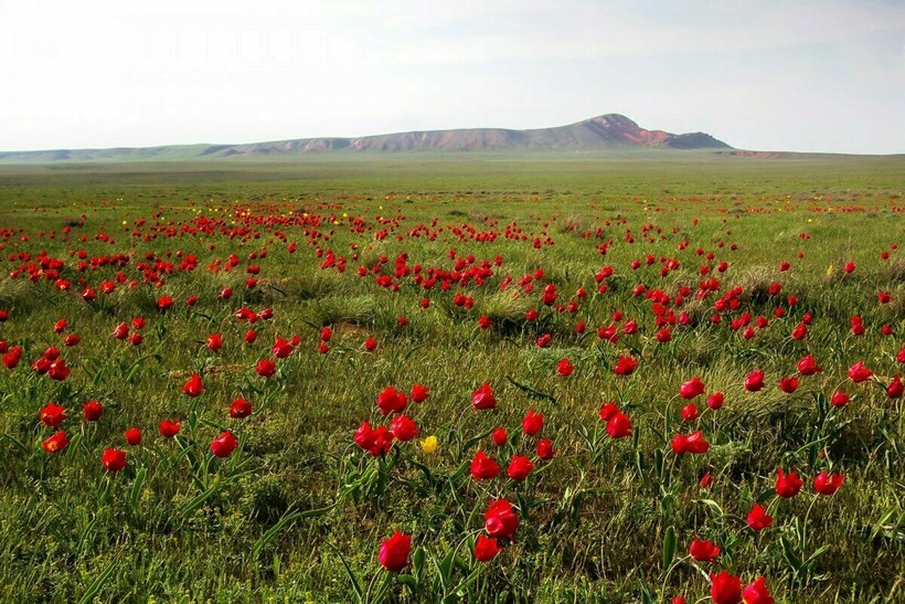 На гору лучше ехать весной. Фото: anextour.org На гору лучше ехать весной. Фото: anextour.org