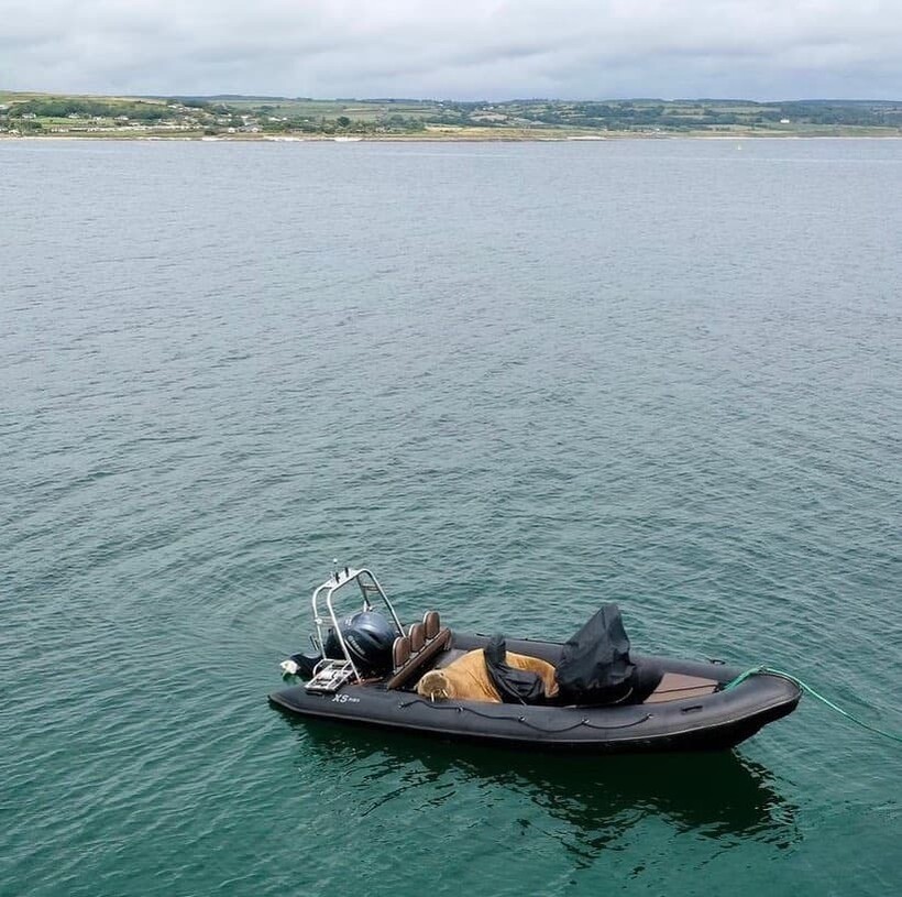 Фото: irelandsoutheast//instagram.com Фото: irelandsoutheast//instagram.com