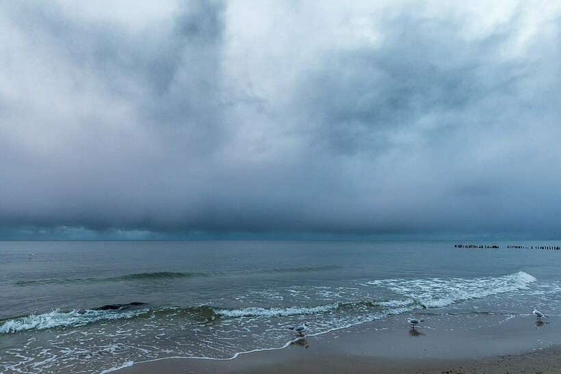 Фото: fotokto.ru Фото: fotokto.ru