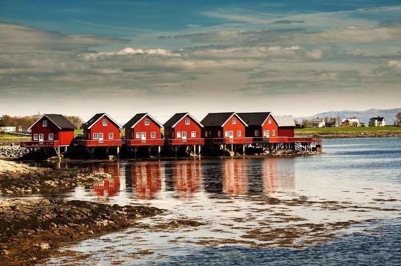 Фото: luca bartoloni/pixabay.com Фото: luca bartoloni/pixabay.com