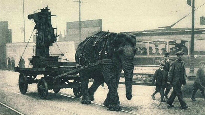 Лиззи везет боеприпасы по улицам британского Шеффилда, 1916 г. Фото: rarehistoricalphotos.com Лиззи везет боеприпасы по улицам британского Шеффилда, 1916 г. Фото: rarehistoricalphotos.com