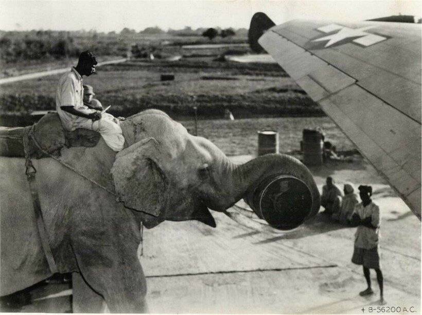 Погрузка бочки с топливом в самолет, Индия. Фото: rarehistoricalphotos.com Погрузка бочки с топливом в самолет, Индия. Фото: rarehistoricalphotos.com
