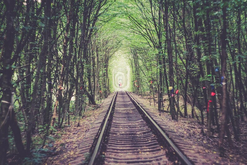 Фото: Marcin Grabski/flickr.com Фото: Marcin Grabski/flickr.com