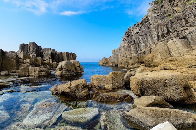 Фото: shell_ghostcage/pixabay.com Фото: shell_ghostcage/pixabay.com