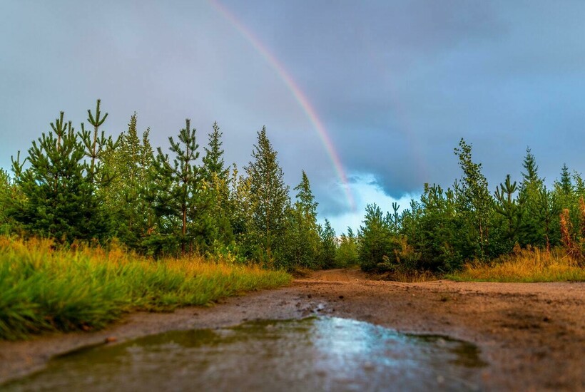 Этот приятный воздух содержит бактерии и химикаты. Фото: Egor Kamelev/pexels.com Этот приятный воздух содержит бактерии и химикаты. Фото: Egor Kamelev/pexels.com
